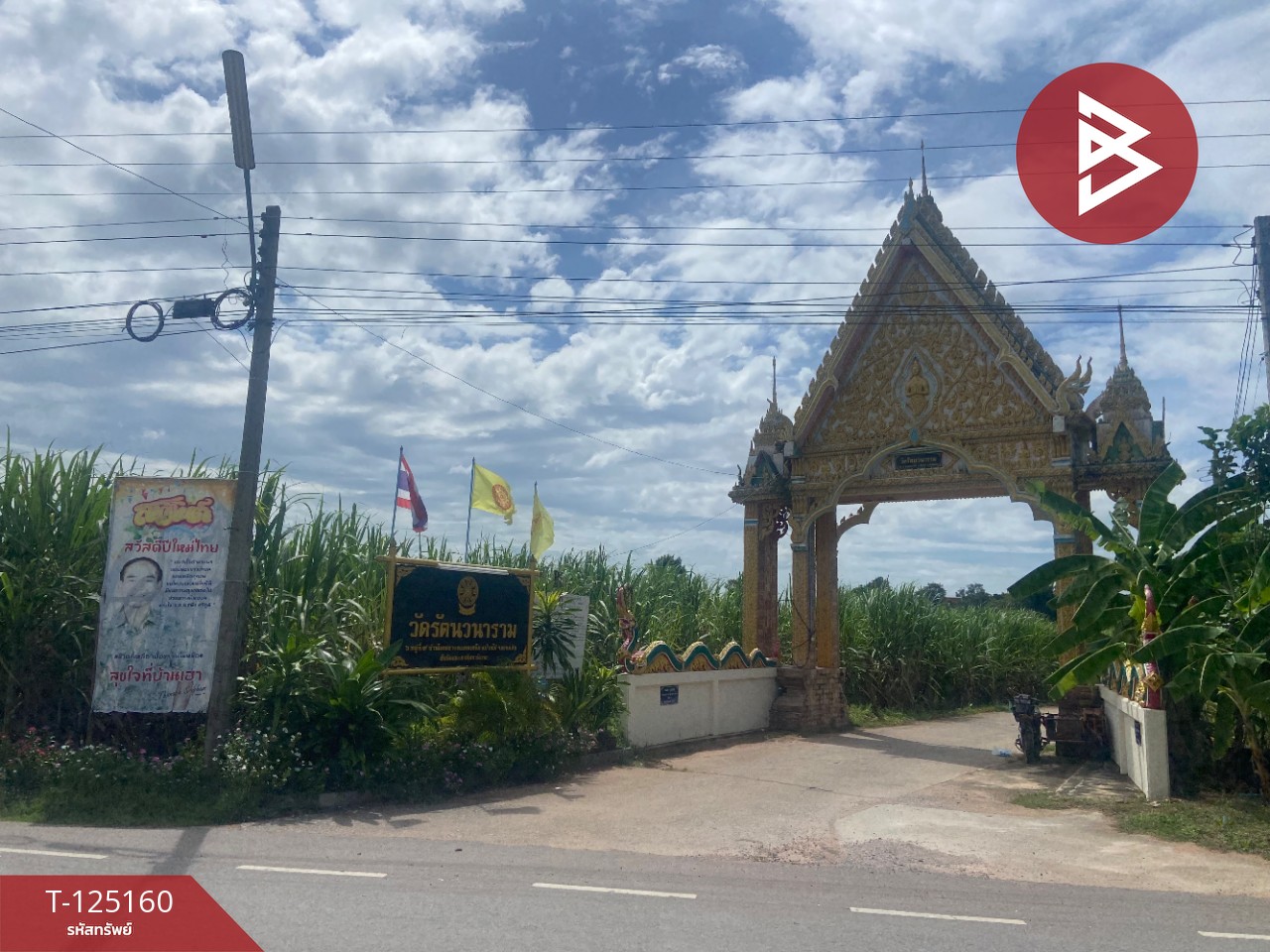 ขายที่ดิน เนื้อที่ 8 ไร่ บ้านไผ่ ขอนแก่น 6