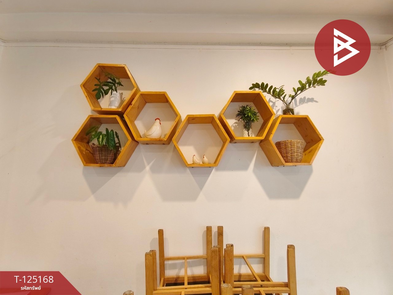 ขายอาคารพาณิชย์ 3 ชั้น เนื้อที่ 26.9 ตร.วา ท่าช้าง จันทบุรี 6