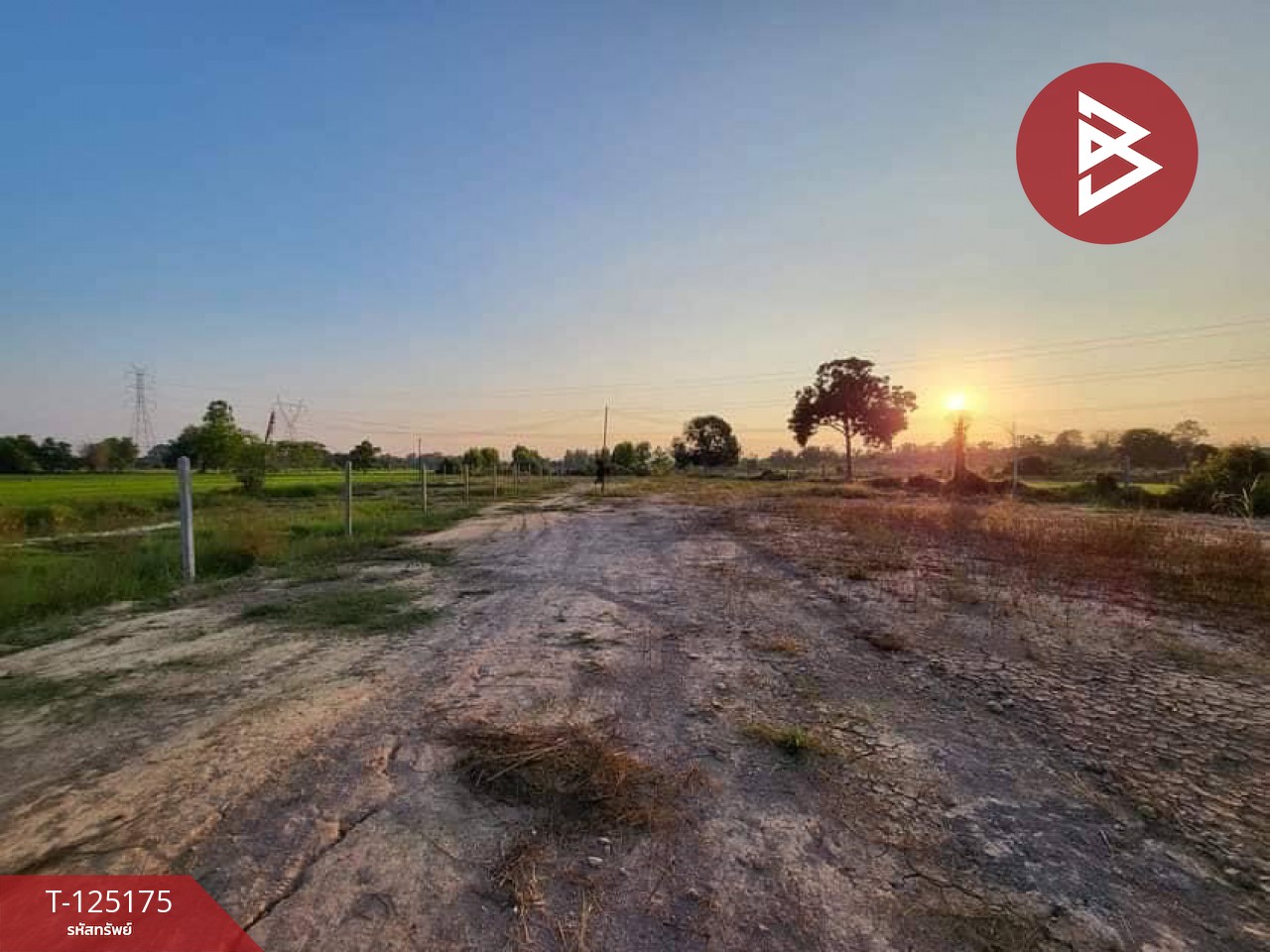 ขายที่ดินพร้อมโกดัง เนื้อที่ 4 ไร่ 62.8 ตร.วา ขาณุวรลักษบุรี กำแพงเพชร 2