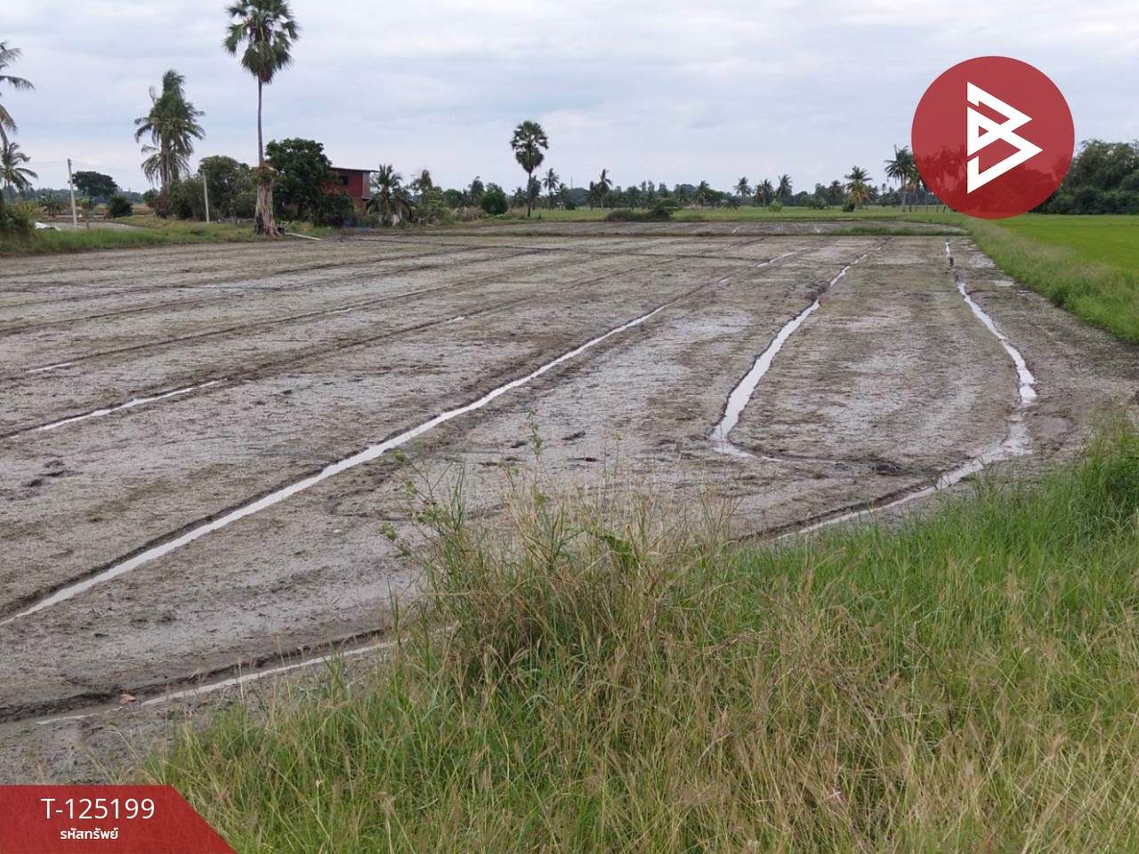 ขายที่ดิน เนื้อที่ 6 ไร่ 2 งาน 32 ตร.วา สามโก้ อ่างทอง 10