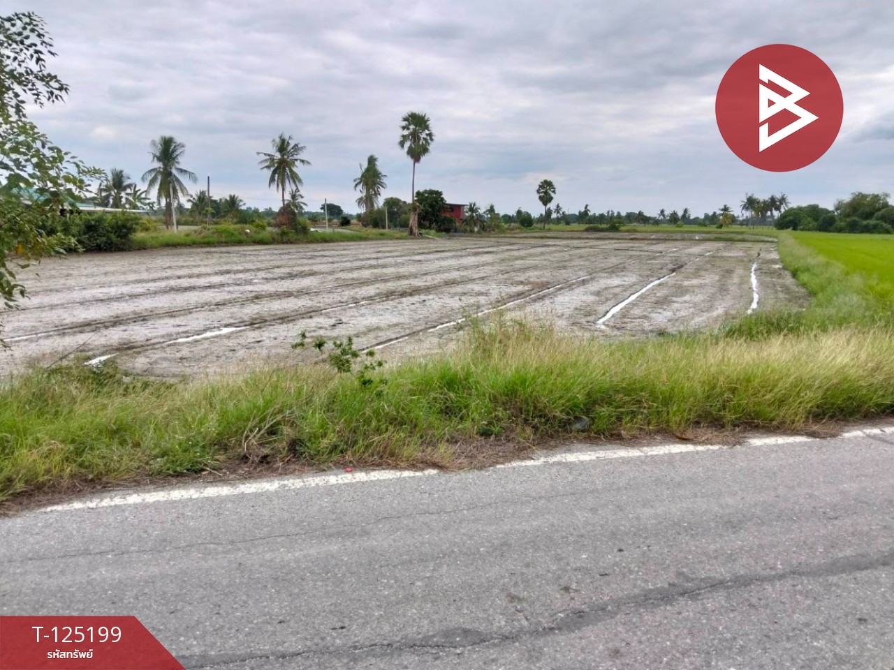 ขายที่ดิน เนื้อที่ 6 ไร่ 2 งาน 32 ตร.วา สามโก้ อ่างทอง 1