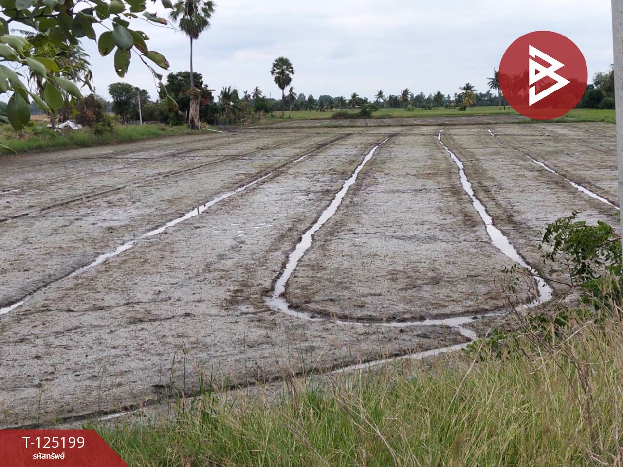 ขายที่ดิน เนื้อที่ 6 ไร่ 2 งาน 32 ตร.วา สามโก้ อ่างทอง 5