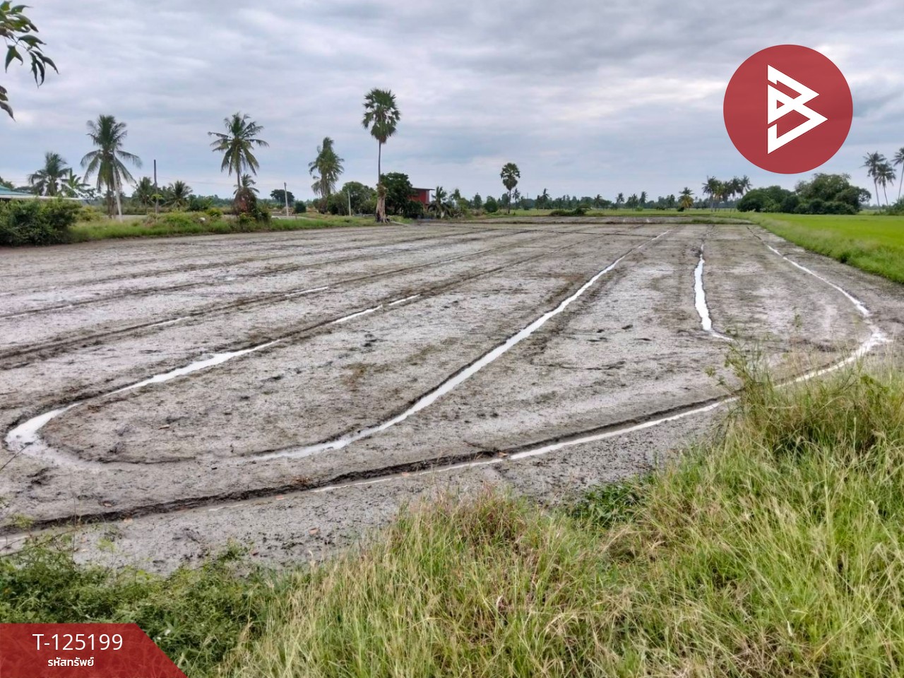 ขายที่ดิน เนื้อที่ 6 ไร่ 2 งาน 32 ตร.วา สามโก้ อ่างทอง 7