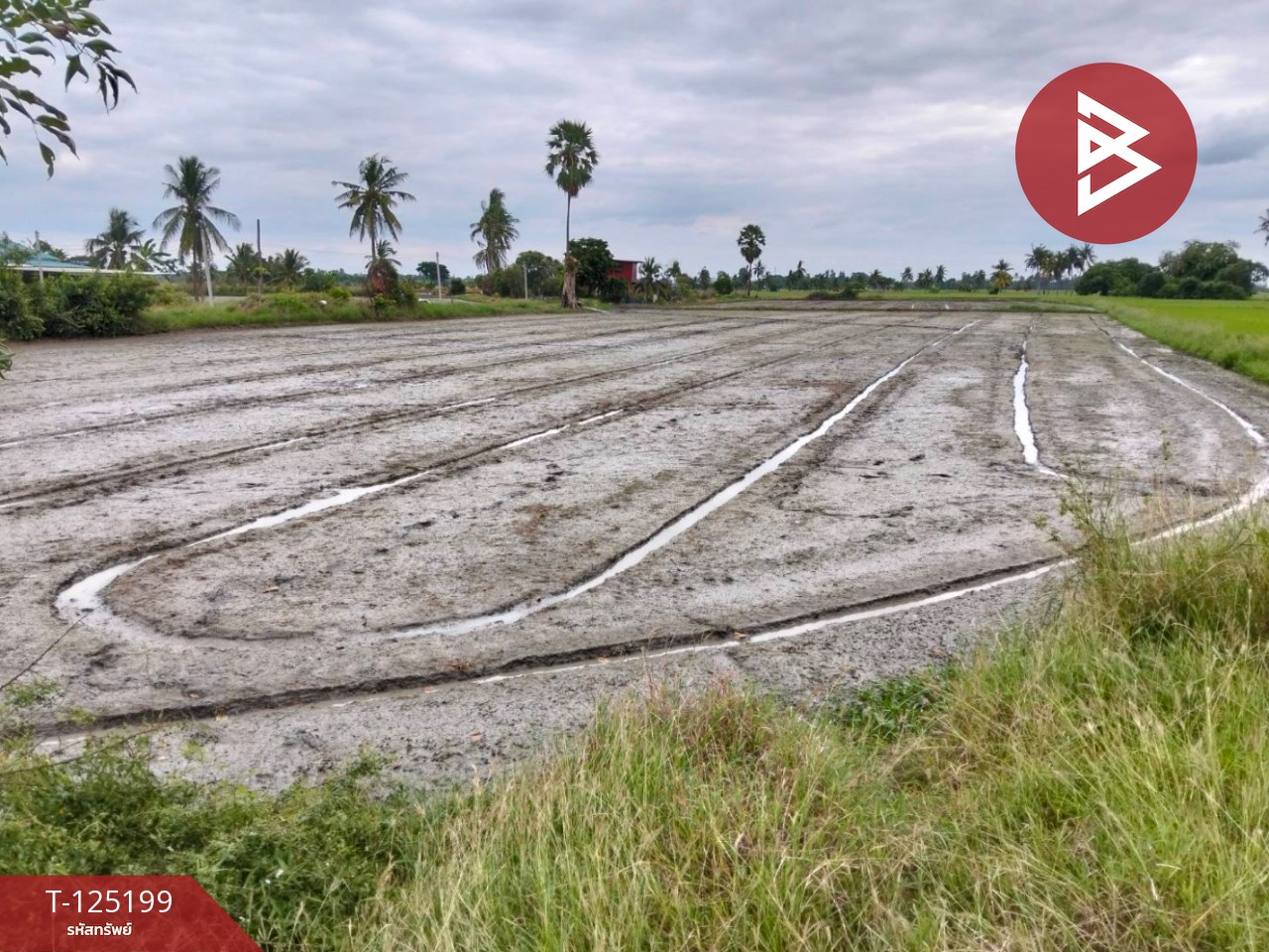 ขายที่ดิน เนื้อที่ 6 ไร่ 2 งาน 32 ตร.วา สามโก้ อ่างทอง 6