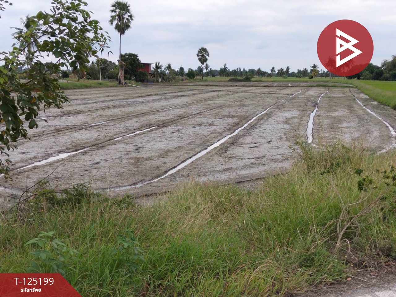 ขายที่ดิน เนื้อที่ 6 ไร่ 2 งาน 32 ตร.วา สามโก้ อ่างทอง 12