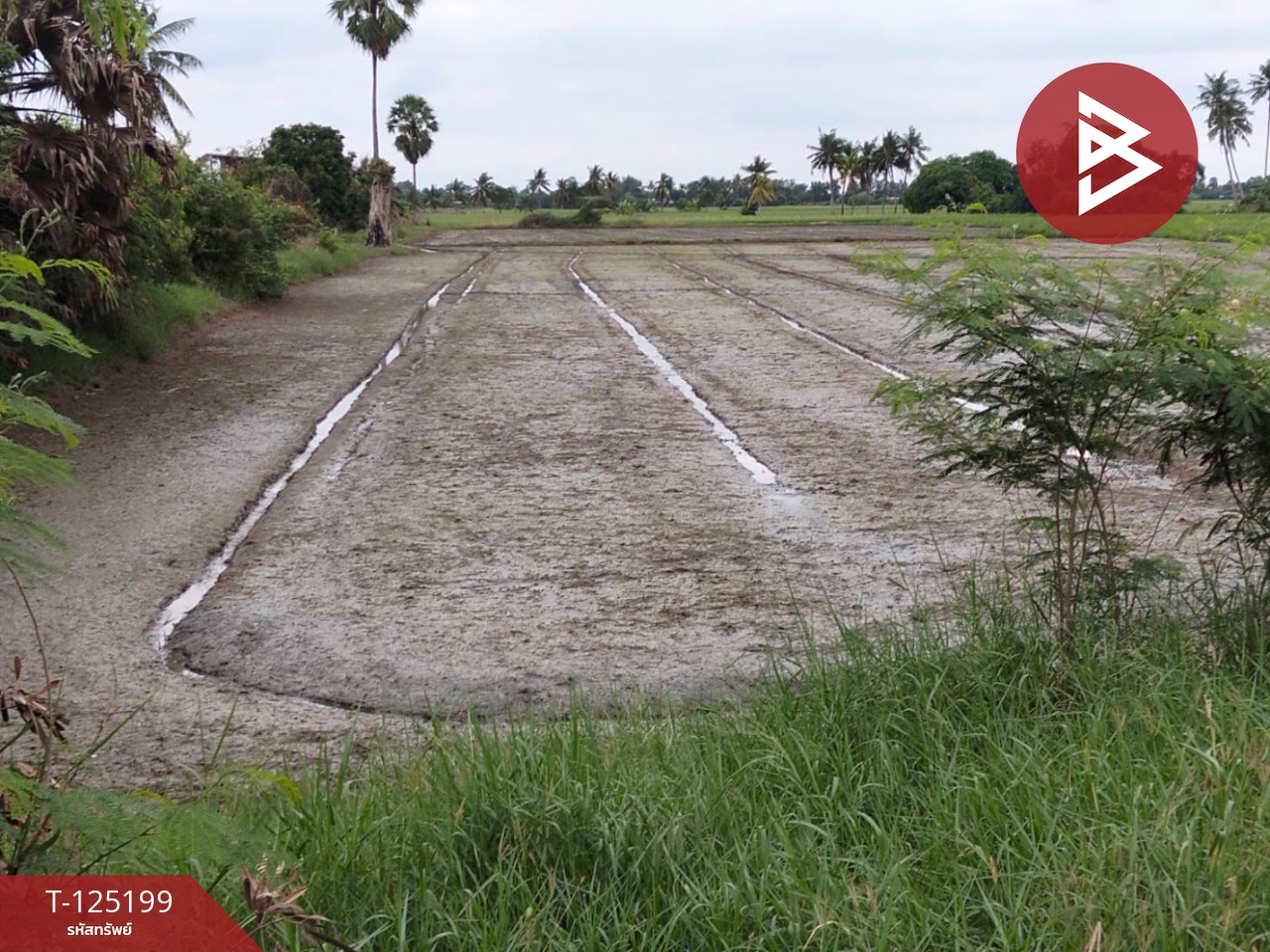 ขายที่ดิน เนื้อที่ 6 ไร่ 2 งาน 32 ตร.วา สามโก้ อ่างทอง 2