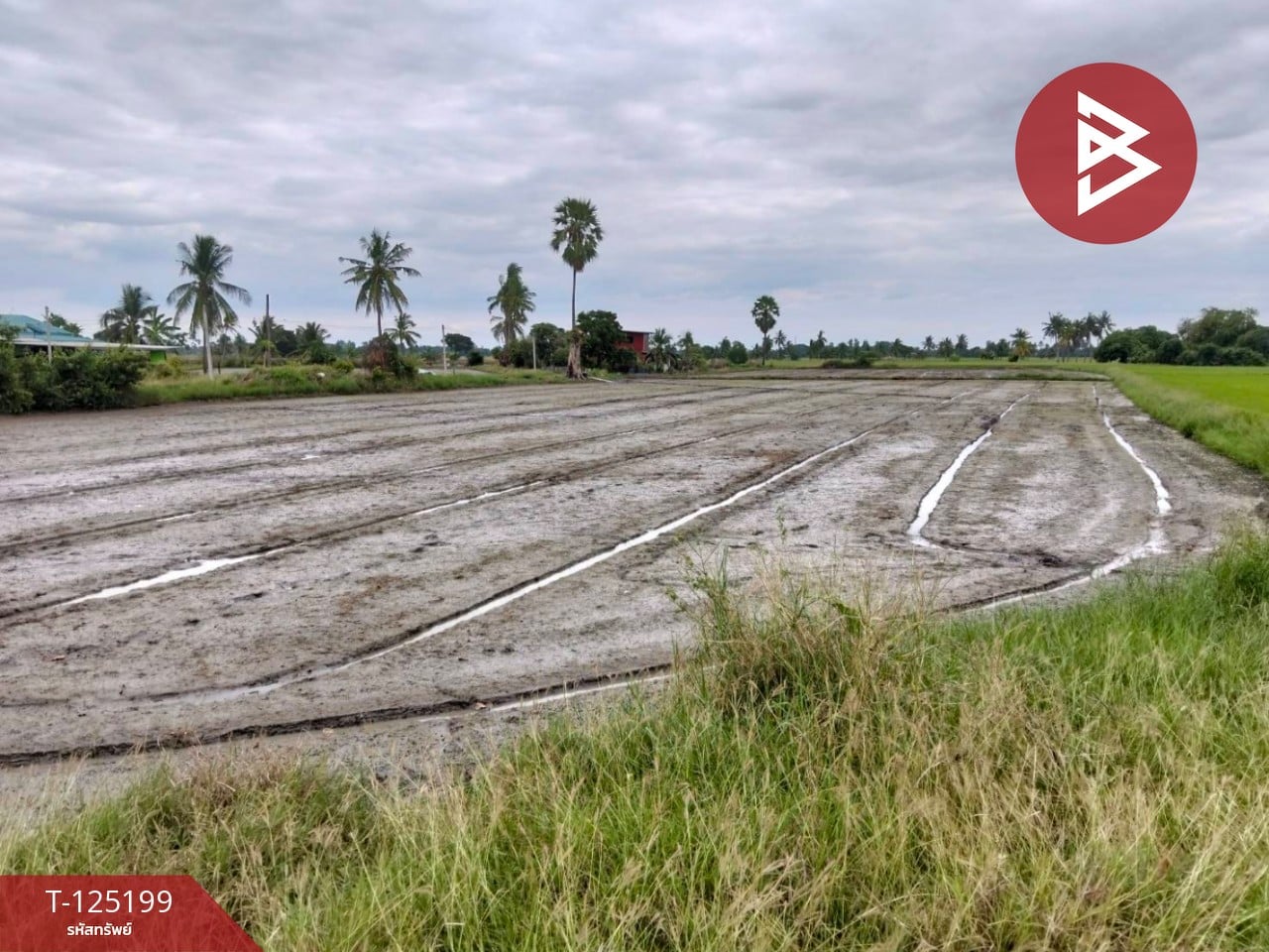 ขายที่ดิน เนื้อที่ 6 ไร่ 2 งาน 32 ตร.วา สามโก้ อ่างทอง 3