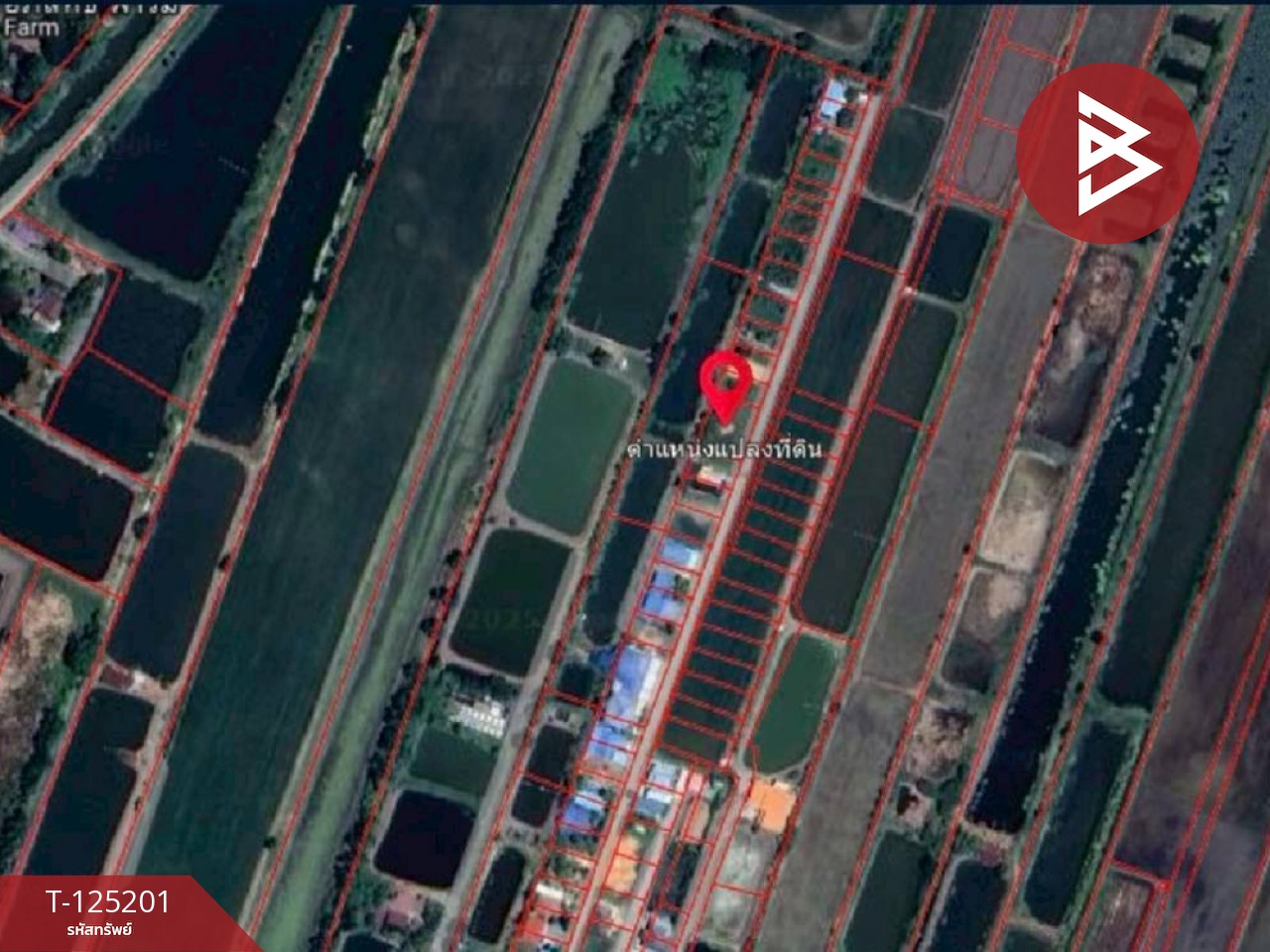 ขายที่ดินถมแล้ว เนื้อที่ 2 งาน บ้านโพธิ์ ฉะเชิงเทรา 11