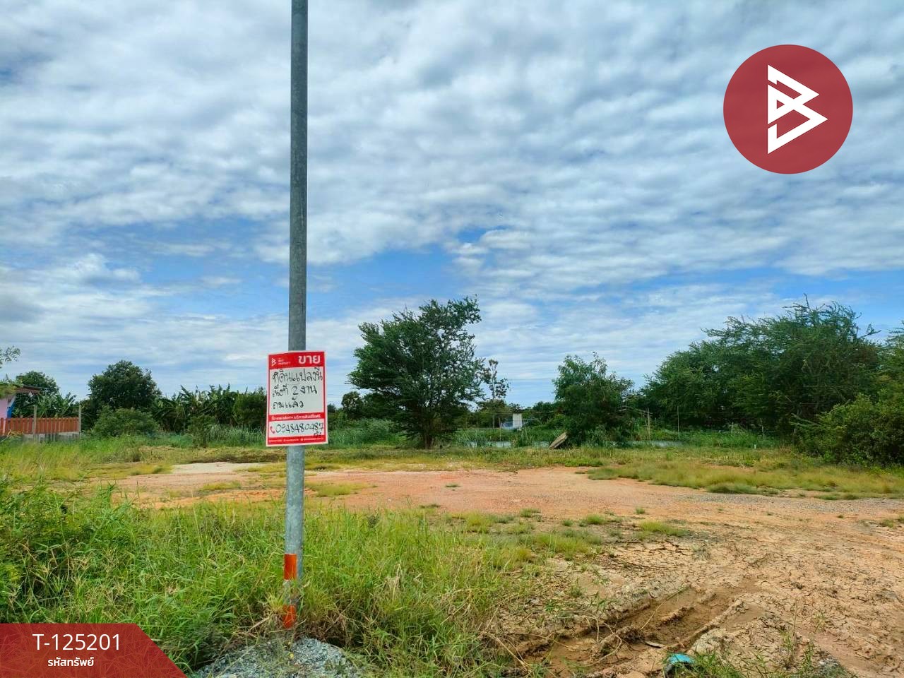 ขายที่ดินถมแล้ว เนื้อที่ 2 งาน บ้านโพธิ์ ฉะเชิงเทรา 5