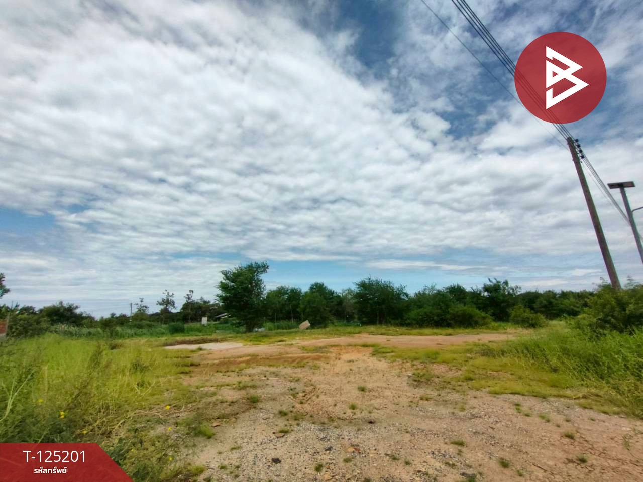 ขายที่ดินถมแล้ว เนื้อที่ 2 งาน บ้านโพธิ์ ฉะเชิงเทรา 4