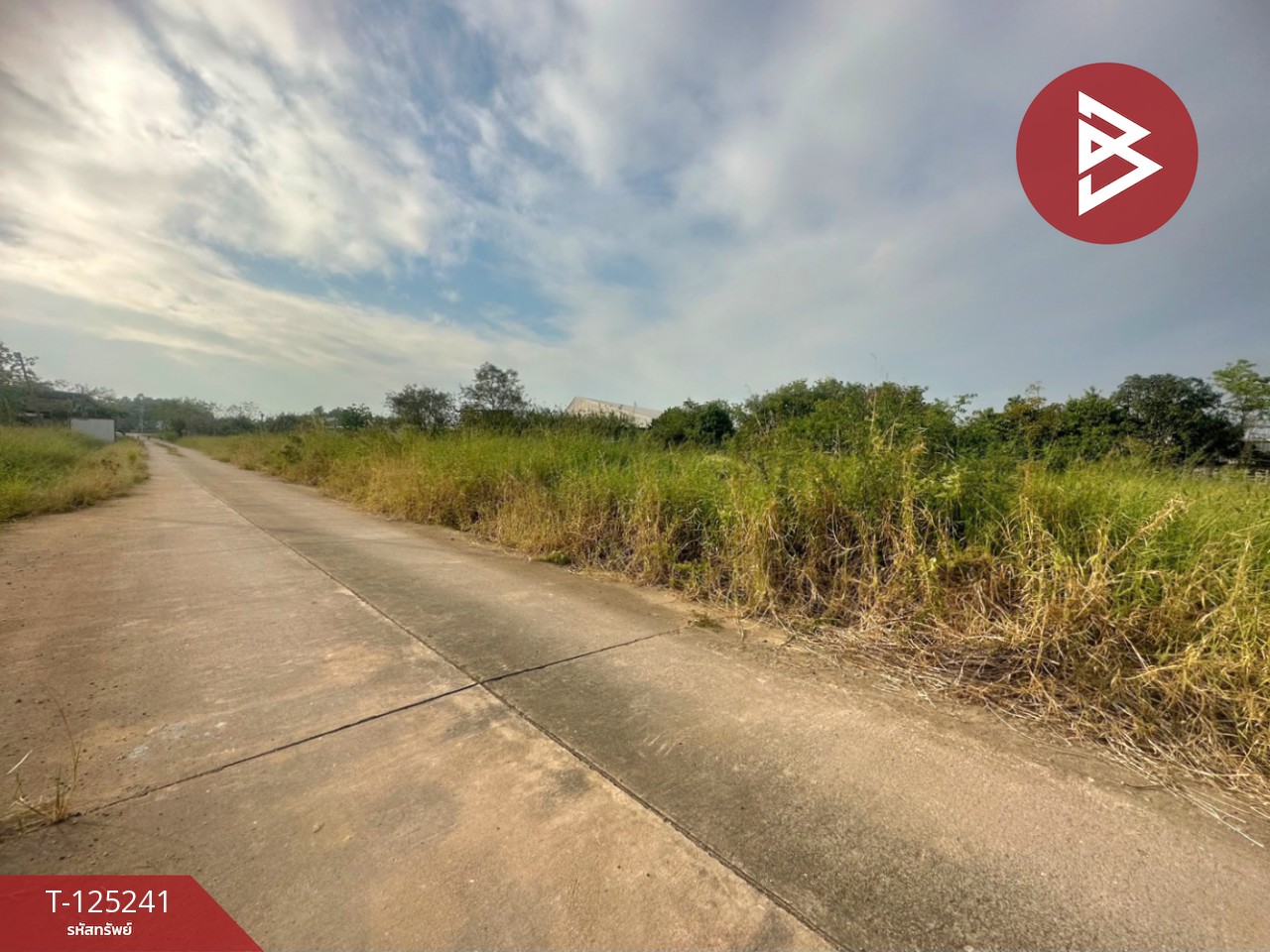 ขายที่ดิน เนื้อที่ 2 งาน ลำลูกกา ปทุมธานี 9