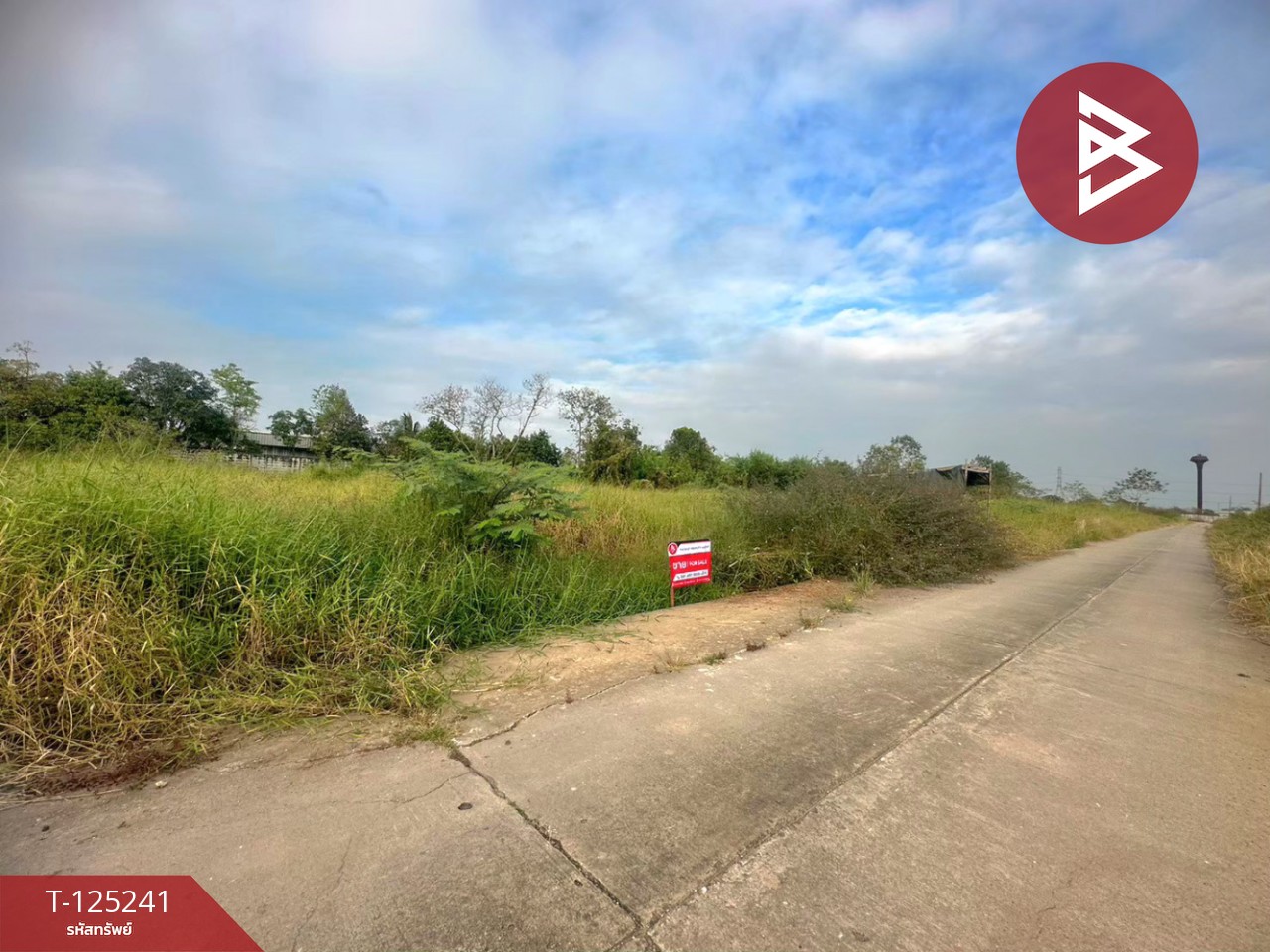 ขายที่ดิน เนื้อที่ 2 งาน ลำลูกกา ปทุมธานี 4