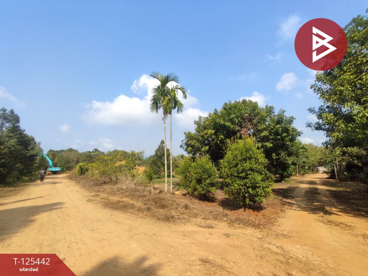 ขายที่ดินพร้อมสวนผสม เนื้อที่ 29 ไร่ 3 งาน 79 ตารางวา ขลุง จันทบุรี 4