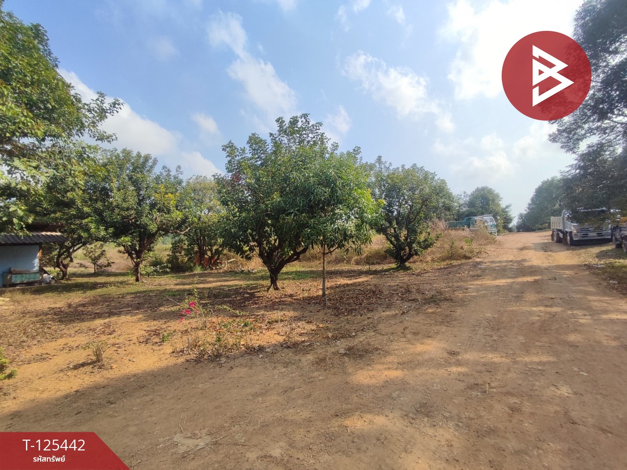 ขายที่ดินพร้อมสวนผสม เนื้อที่ 29 ไร่ 3 งาน 79 ตารางวา ขลุง จันทบุรี 3