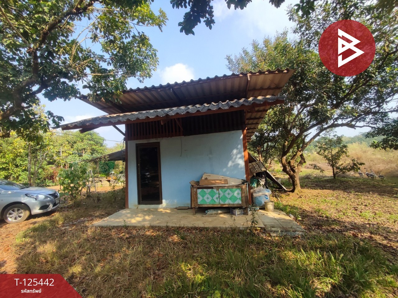 ขายที่ดินพร้อมสวนผสม เนื้อที่ 29 ไร่ 3 งาน 79 ตารางวา ขลุง จันทบุรี 9