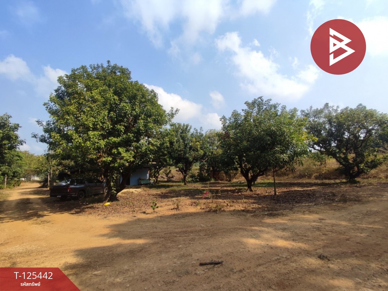 ขายที่ดินพร้อมสวนผสม เนื้อที่ 29 ไร่ 3 งาน 79 ตารางวา ขลุง จันทบุรี 1