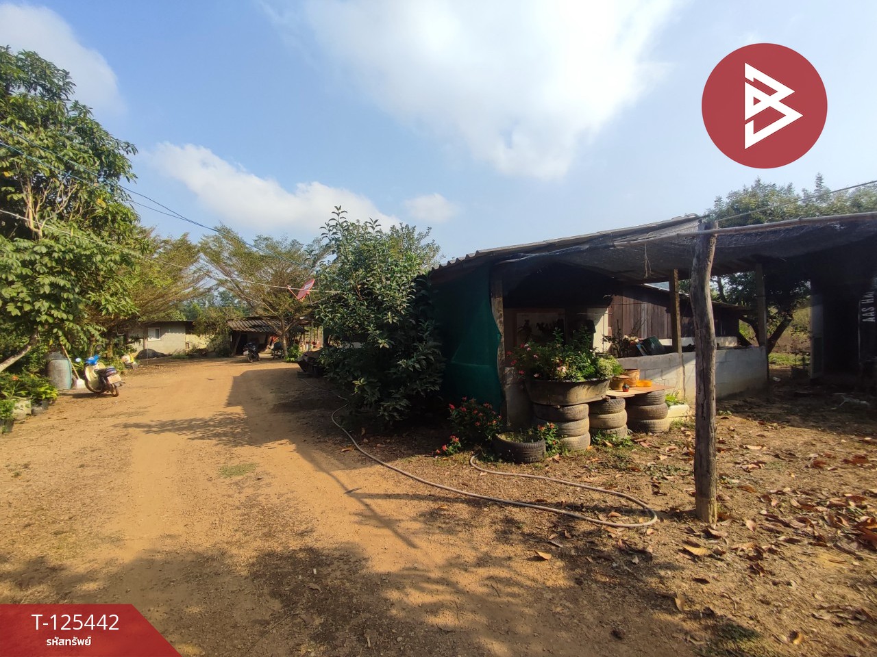 ขายที่ดินพร้อมสวนผสม เนื้อที่ 29 ไร่ 3 งาน 79 ตารางวา ขลุง จันทบุรี 8