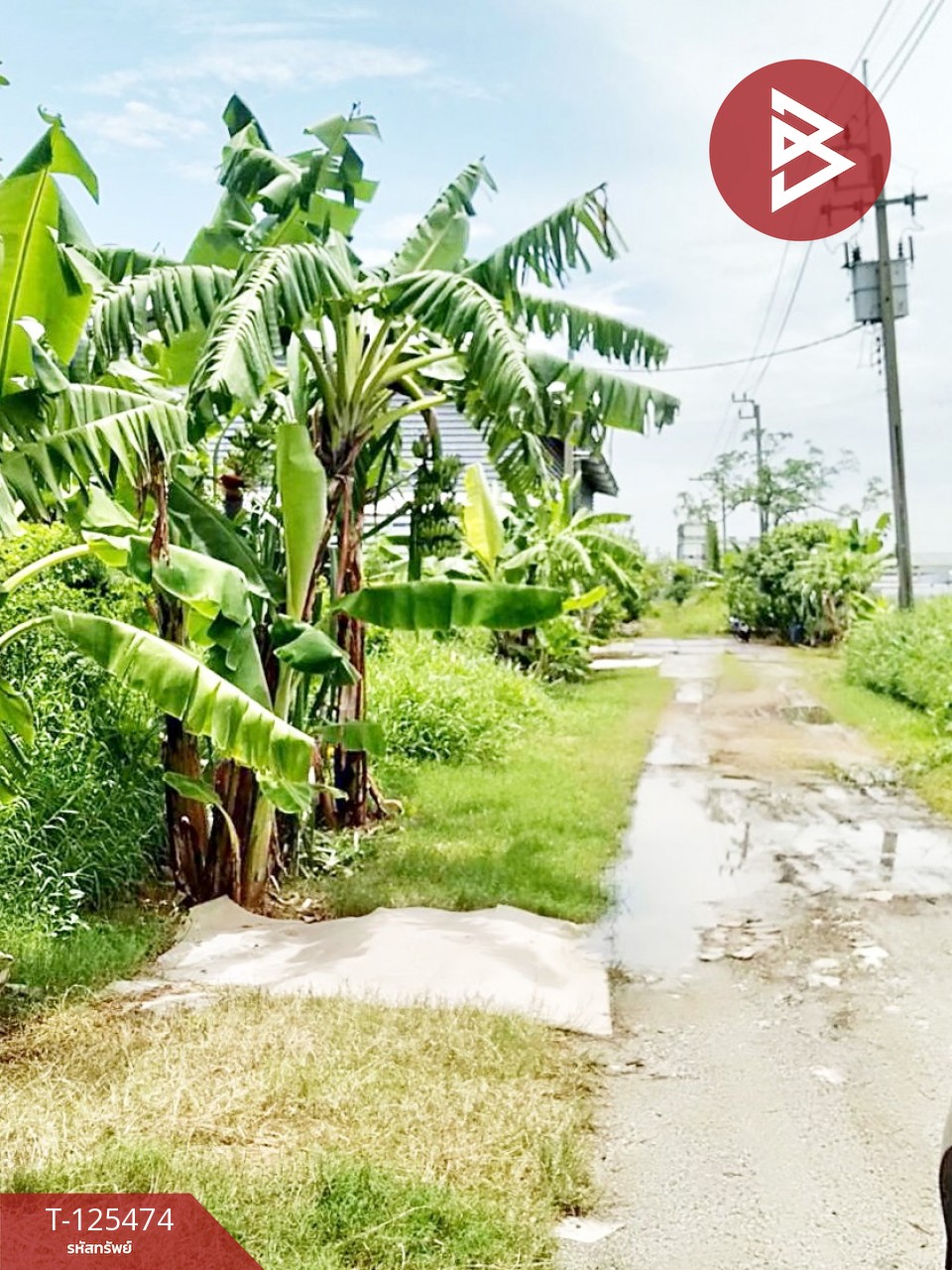 ขายที่ดิน เนื้อที่ 2 ไร่ บางปลา สมุทรปราการ ทำเลดี เหมาะสร้างโรงงาน หรือบ้านพักคนงาน 10