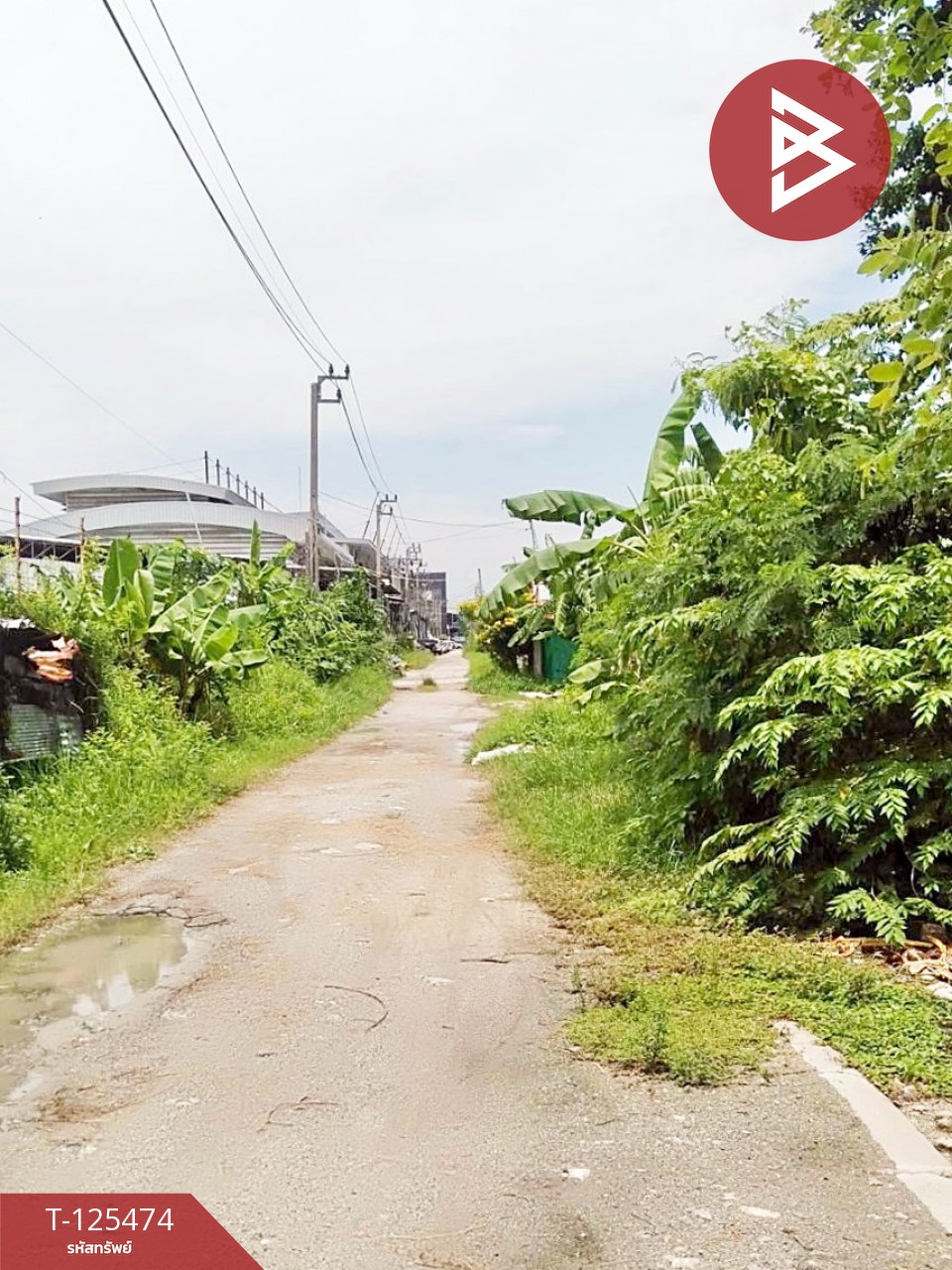 ขายที่ดิน เนื้อที่ 2 ไร่ บางปลา สมุทรปราการ ทำเลดี เหมาะสร้างโรงงาน หรือบ้านพักคนงาน 9