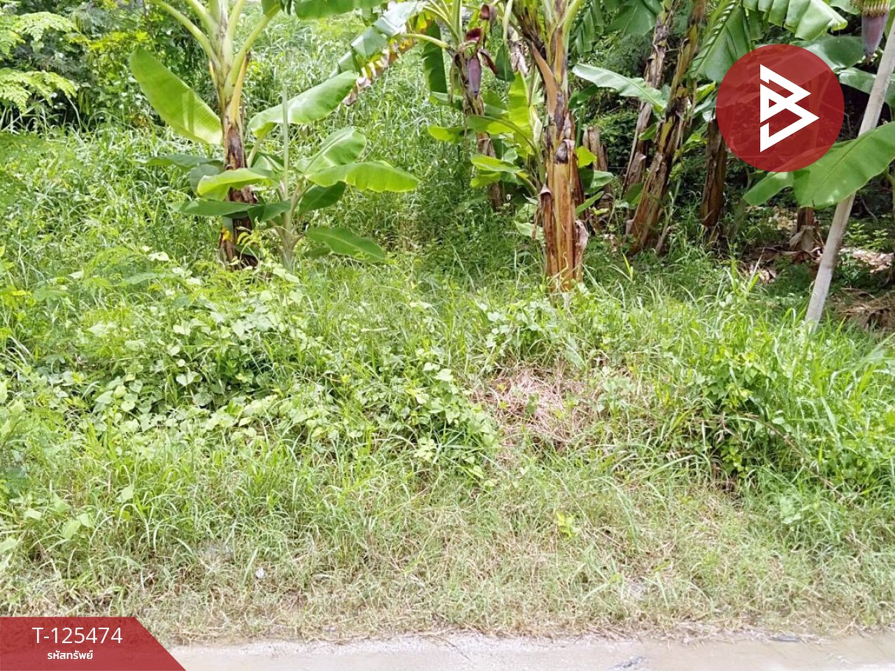 ขายที่ดิน เนื้อที่ 2 ไร่ บางปลา สมุทรปราการ ทำเลดี เหมาะสร้างโรงงาน หรือบ้านพักคนงาน 5