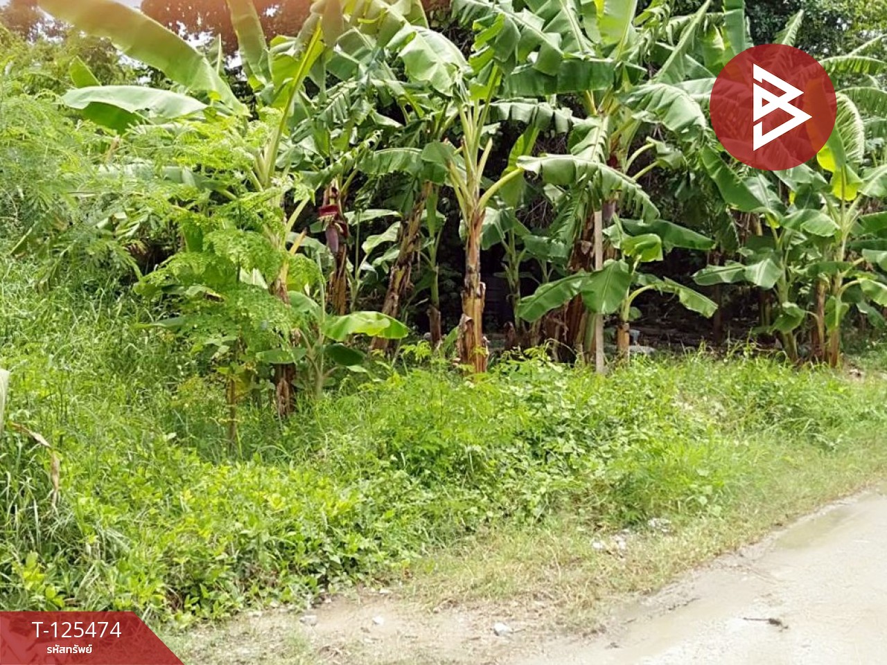 ขายที่ดิน เนื้อที่ 2 ไร่ บางปลา สมุทรปราการ ทำเลดี เหมาะสร้างโรงงาน หรือบ้านพักคนงาน 4