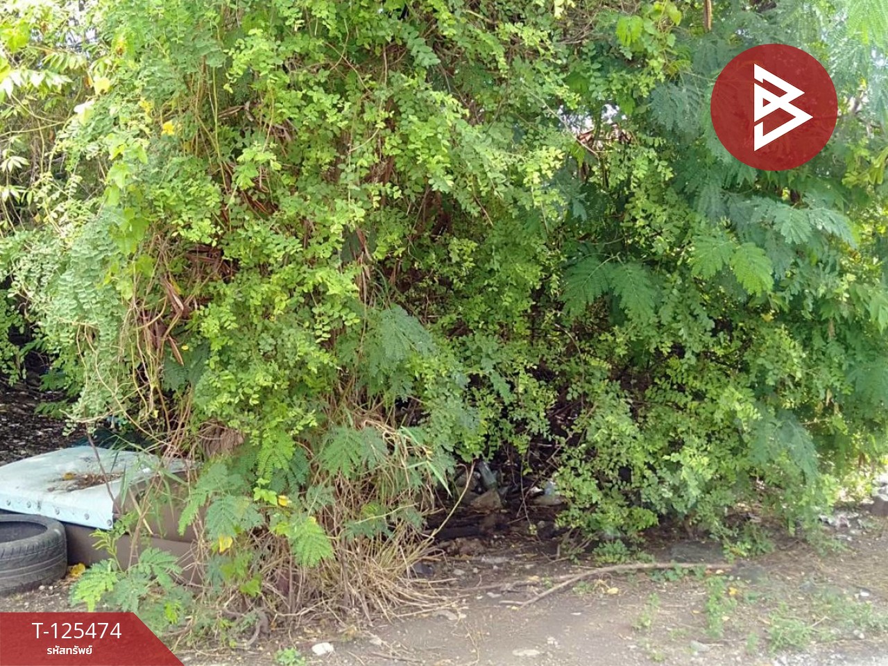 ขายที่ดิน เนื้อที่ 2 ไร่ บางปลา สมุทรปราการ ทำเลดี เหมาะสร้างโรงงาน หรือบ้านพักคนงาน 8