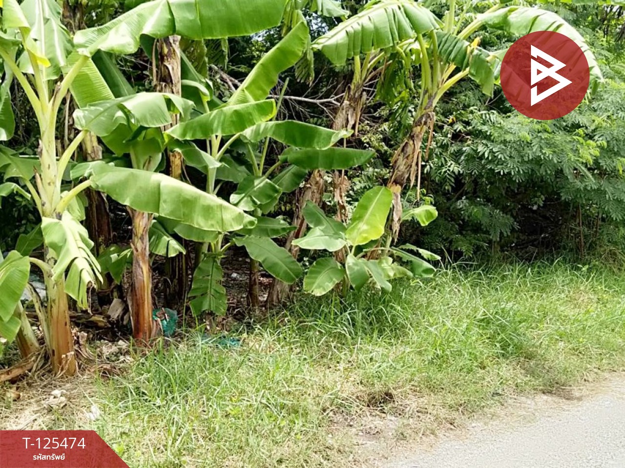 ขายที่ดิน เนื้อที่ 2 ไร่ บางปลา สมุทรปราการ ทำเลดี เหมาะสร้างโรงงาน หรือบ้านพักคนงาน 7