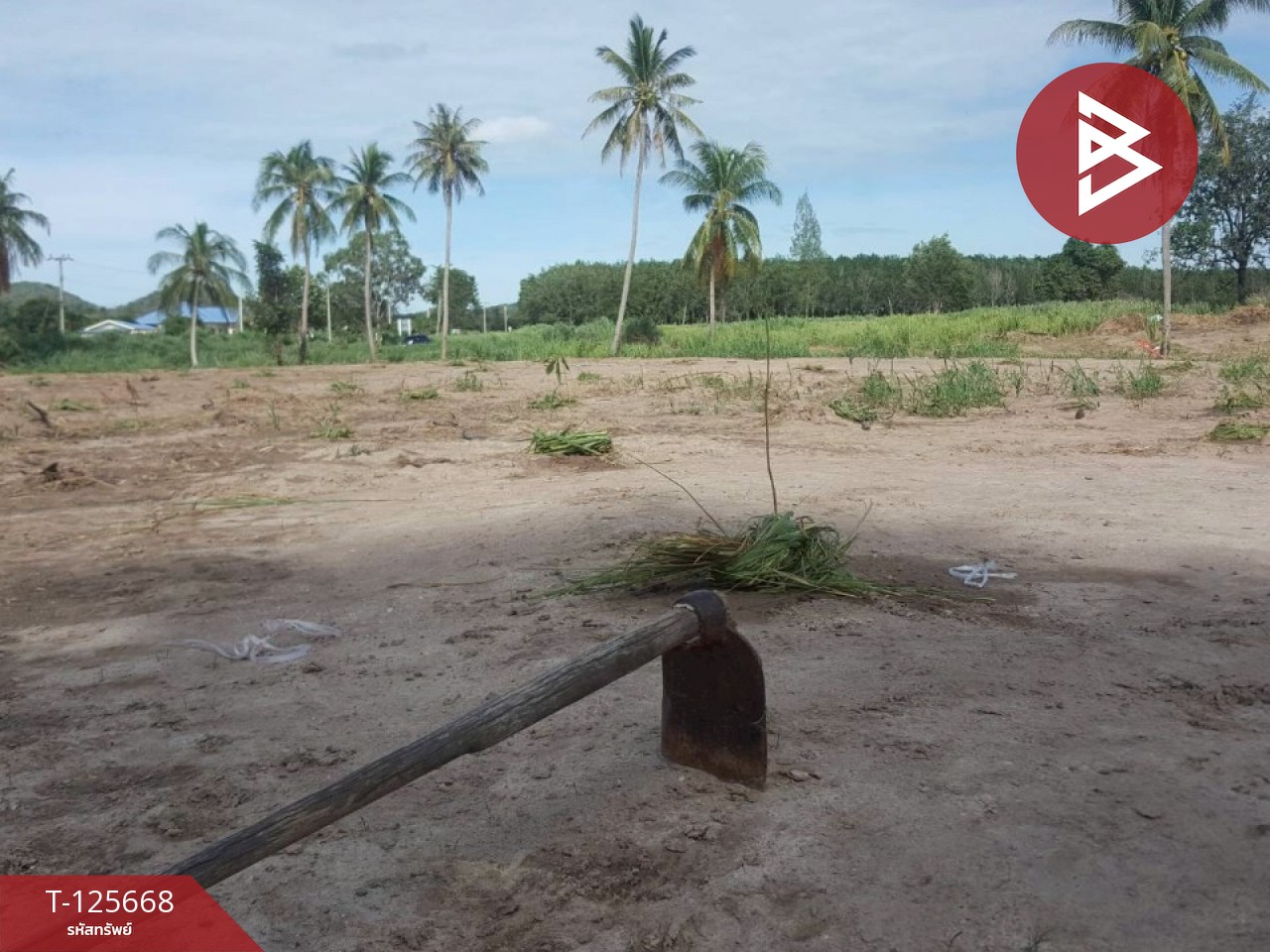 ขายที่ดิน เนื้อที่ 39 ไร่ 23 ตารางวา ปราณบุรี ประจวบคีรีขันธ์ 4