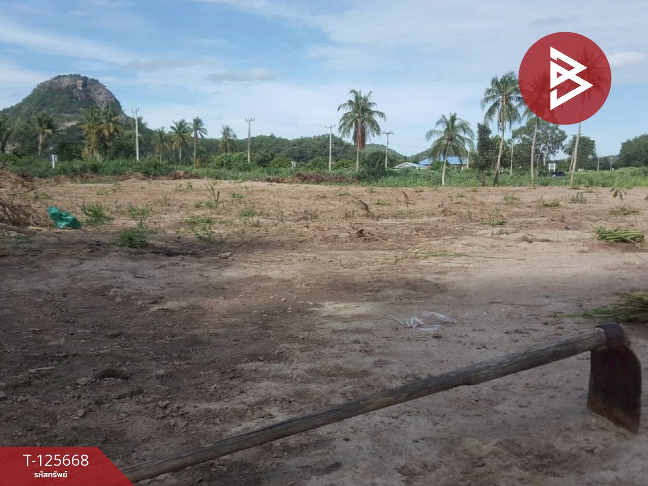 ขายที่ดิน เนื้อที่ 39 ไร่ 23 ตารางวา ปราณบุรี ประจวบคีรีขันธ์ 3