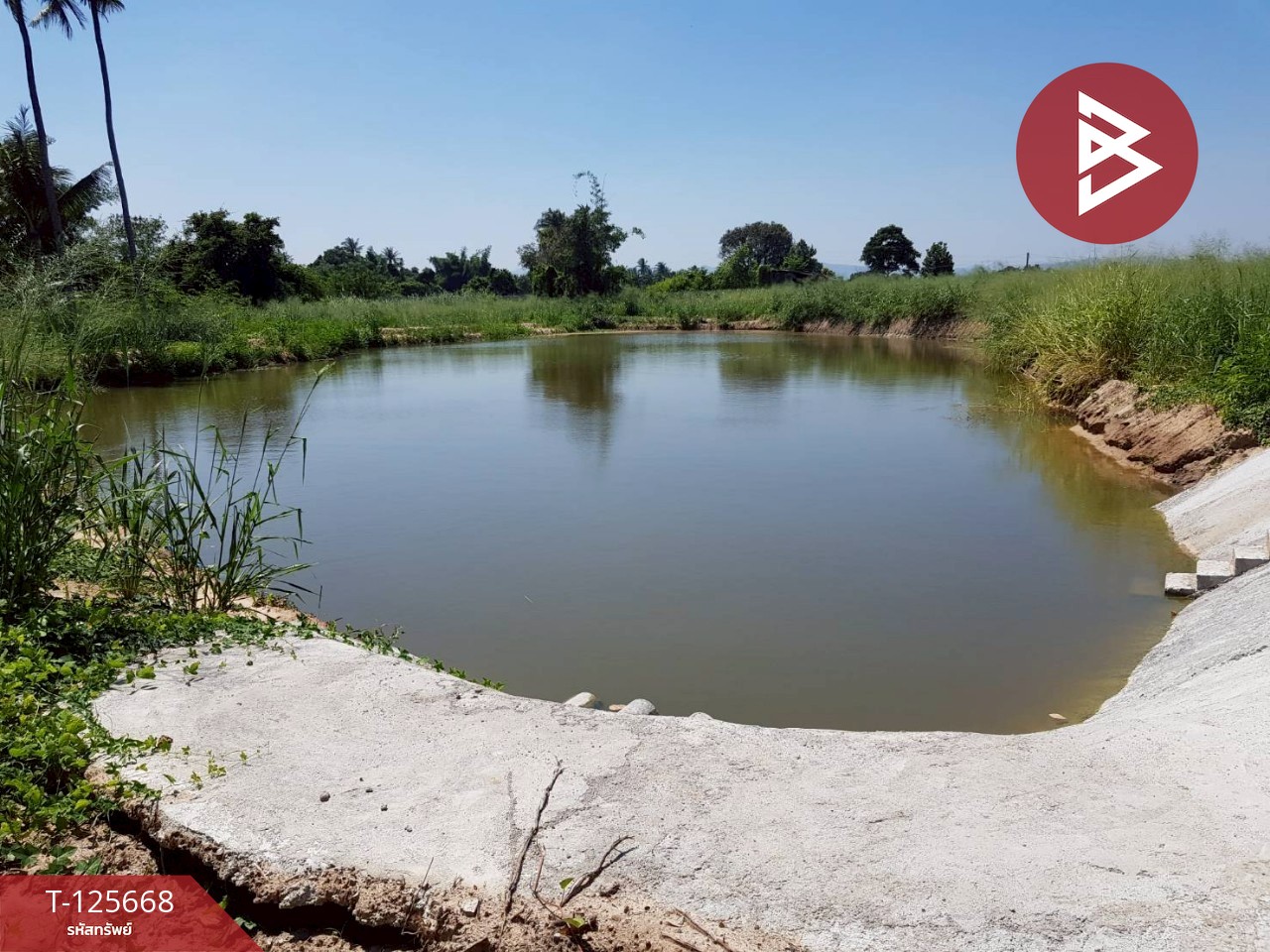 ขายที่ดิน เนื้อที่ 39 ไร่ 23 ตารางวา ปราณบุรี ประจวบคีรีขันธ์ 6