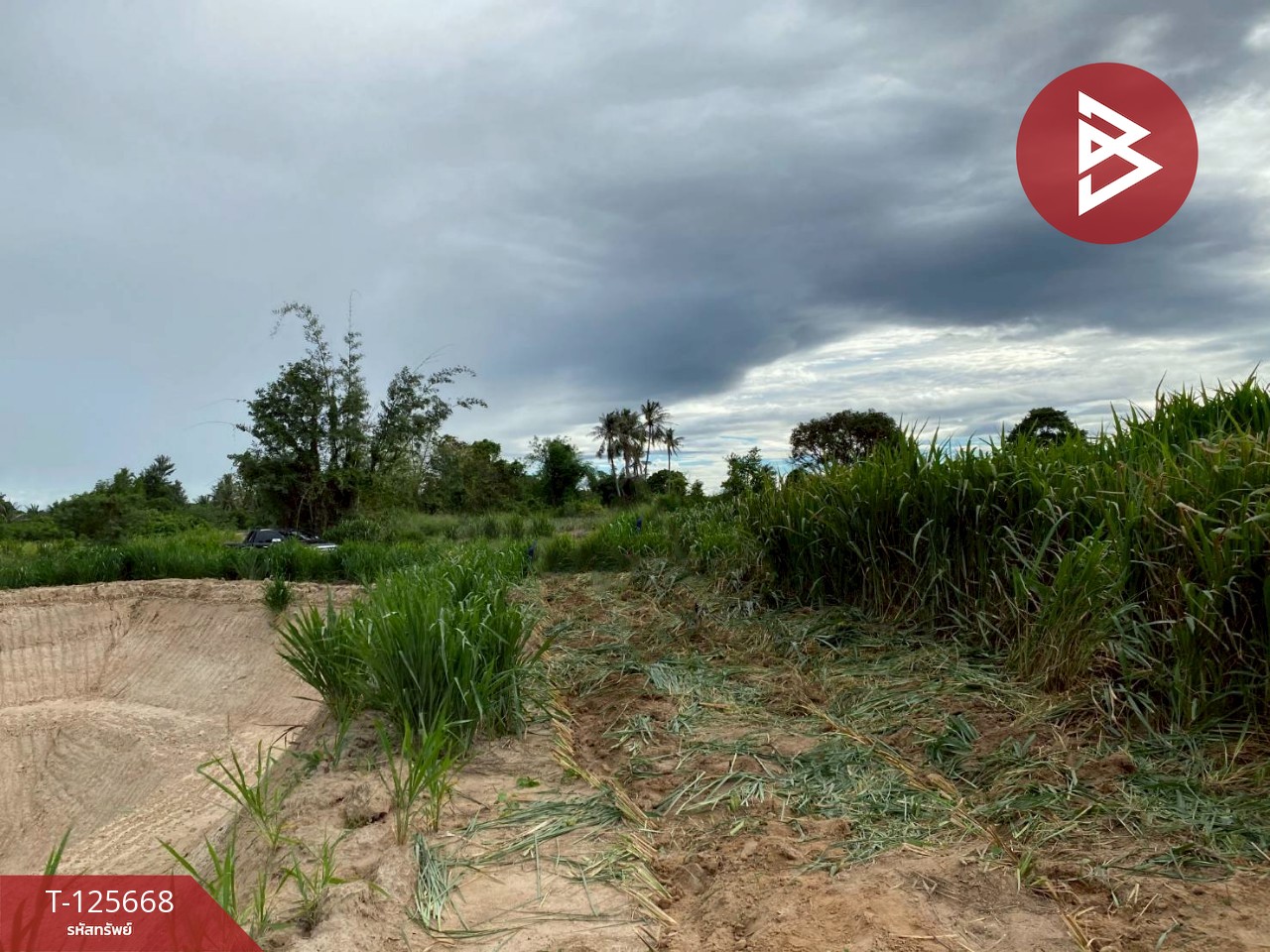 ขายที่ดิน เนื้อที่ 39 ไร่ 23 ตารางวา ปราณบุรี ประจวบคีรีขันธ์ 1