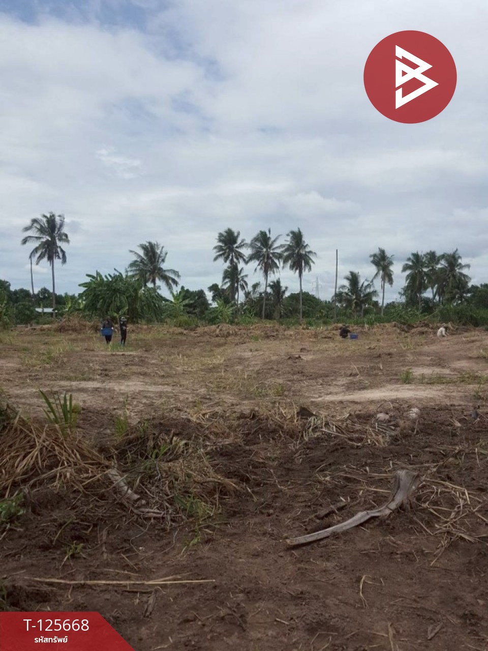 ขายที่ดิน เนื้อที่ 39 ไร่ 23 ตารางวา ปราณบุรี ประจวบคีรีขันธ์ 2