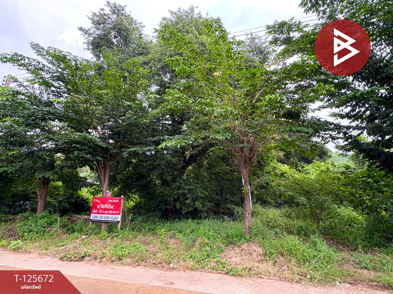 ขายที่ดิน เนื้อที่ 1 ไร่ 2 งาน 50 ตร.วา ตาคลี นครสวรรค์ 5