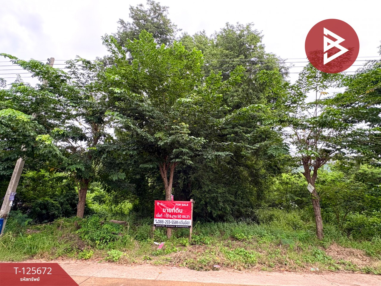 ขายที่ดิน เนื้อที่ 1 ไร่ 2 งาน 50 ตร.วา ตาคลี นครสวรรค์ 1