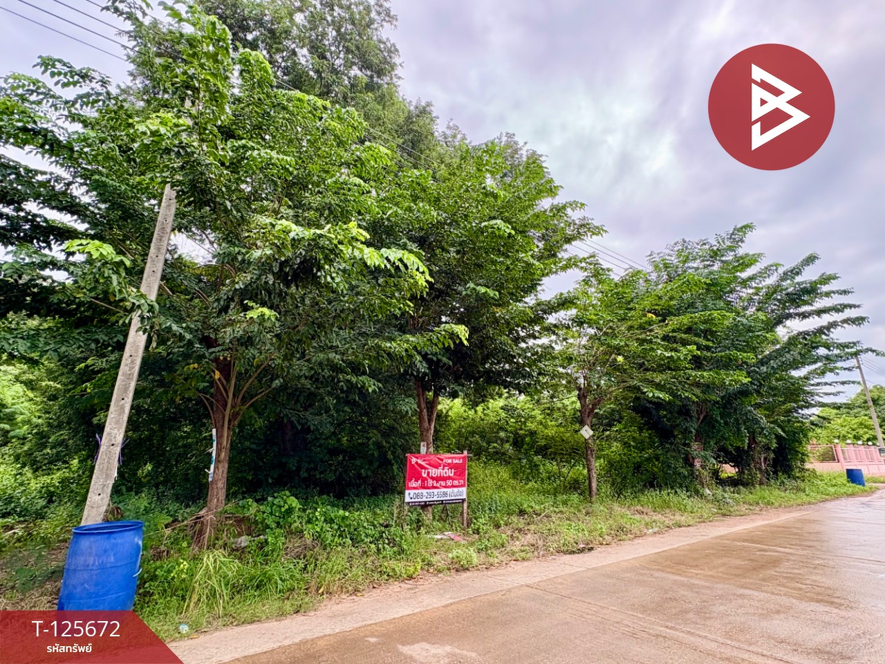 ขายที่ดิน เนื้อที่ 1 ไร่ 2 งาน 50 ตร.วา ตาคลี นครสวรรค์ 2