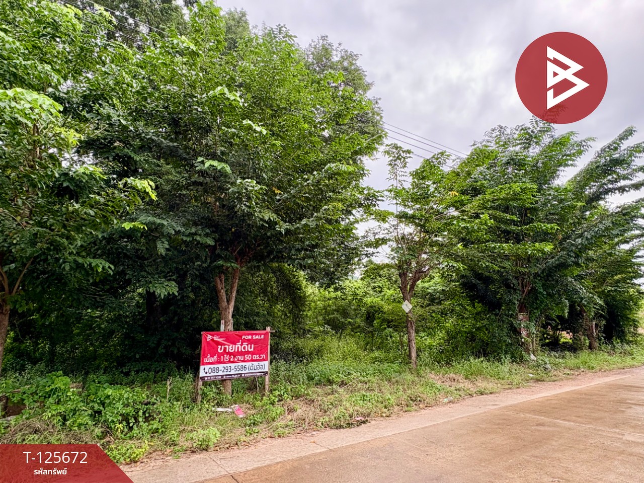 ขายที่ดิน เนื้อที่ 1 ไร่ 2 งาน 50 ตร.วา ตาคลี นครสวรรค์ 3