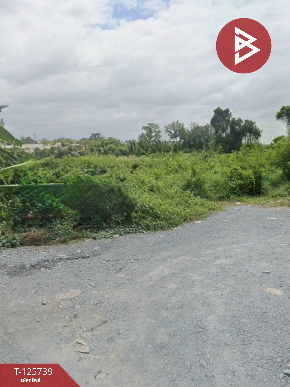 ขายที่ดิน เนื้อที่ 1 ไร่ ท่าทราย สมุทรสาคร 6