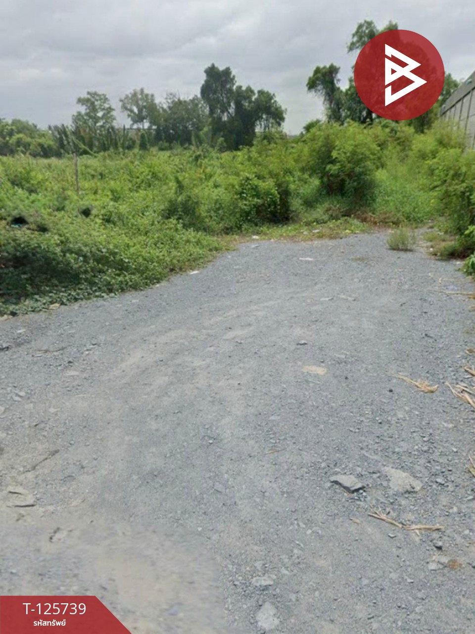 ขายที่ดิน เนื้อที่ 1 ไร่ ท่าทราย สมุทรสาคร 5