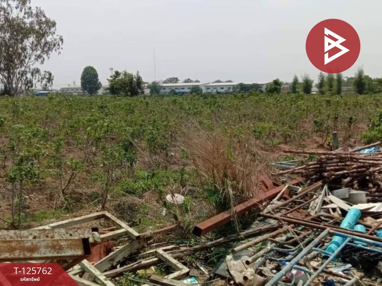 ขายที่ดิน เนื้อที่ 4 ไร่ 46 ตร.วา ศรีมหาโพธิ ปราจีนบุรี 2