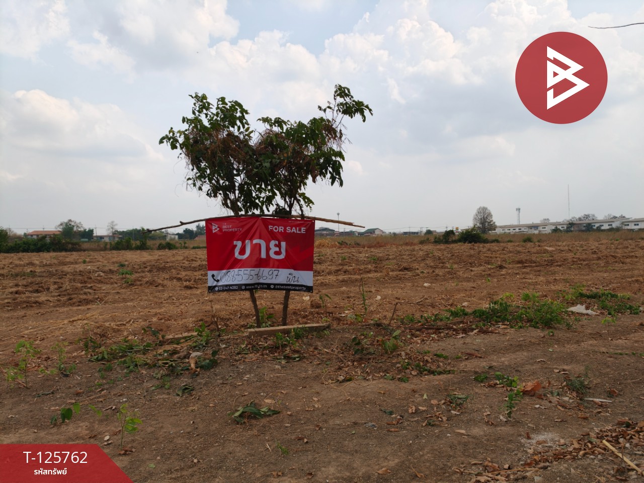 ขายที่ดิน เนื้อที่ 4 ไร่ 46 ตร.วา ศรีมหาโพธิ ปราจีนบุรี 8