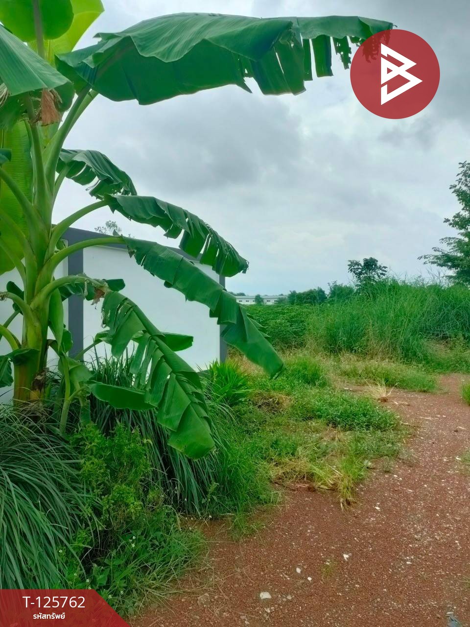 ขายที่ดิน เนื้อที่ 4 ไร่ 46 ตร.วา ศรีมหาโพธิ ปราจีนบุรี 5