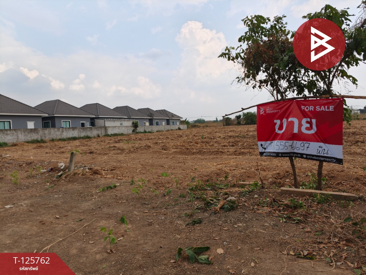 ขายที่ดิน เนื้อที่ 4 ไร่ 46 ตร.วา ศรีมหาโพธิ ปราจีนบุรี 11