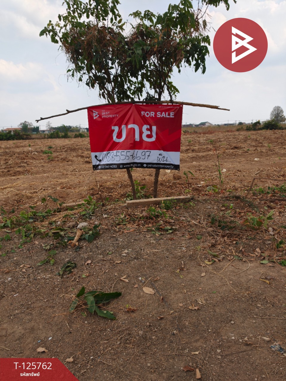 ขายที่ดิน เนื้อที่ 4 ไร่ 46 ตร.วา ศรีมหาโพธิ ปราจีนบุรี 13