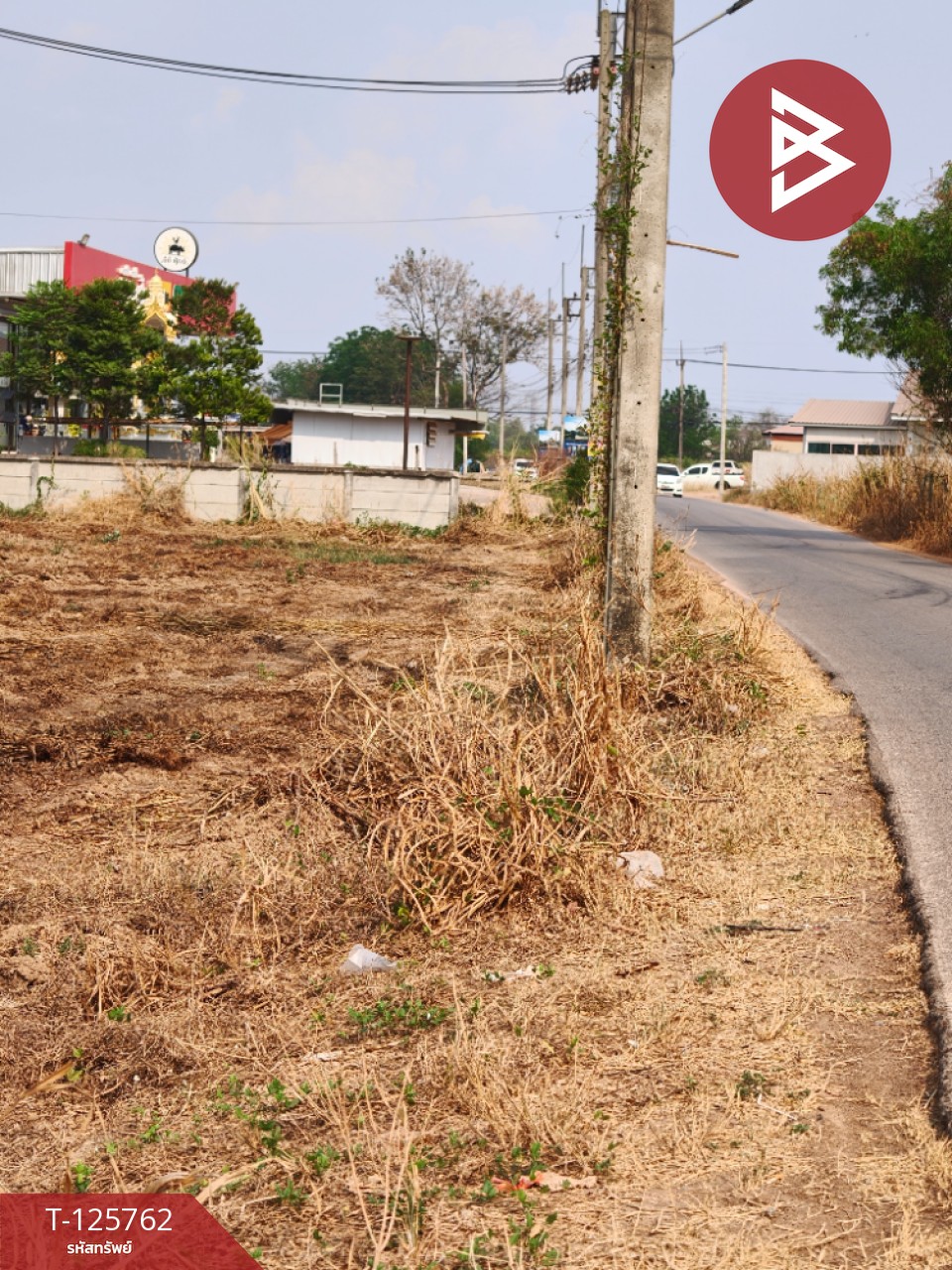 ขายที่ดิน เนื้อที่ 4 ไร่ 46 ตร.วา ศรีมหาโพธิ ปราจีนบุรี 10