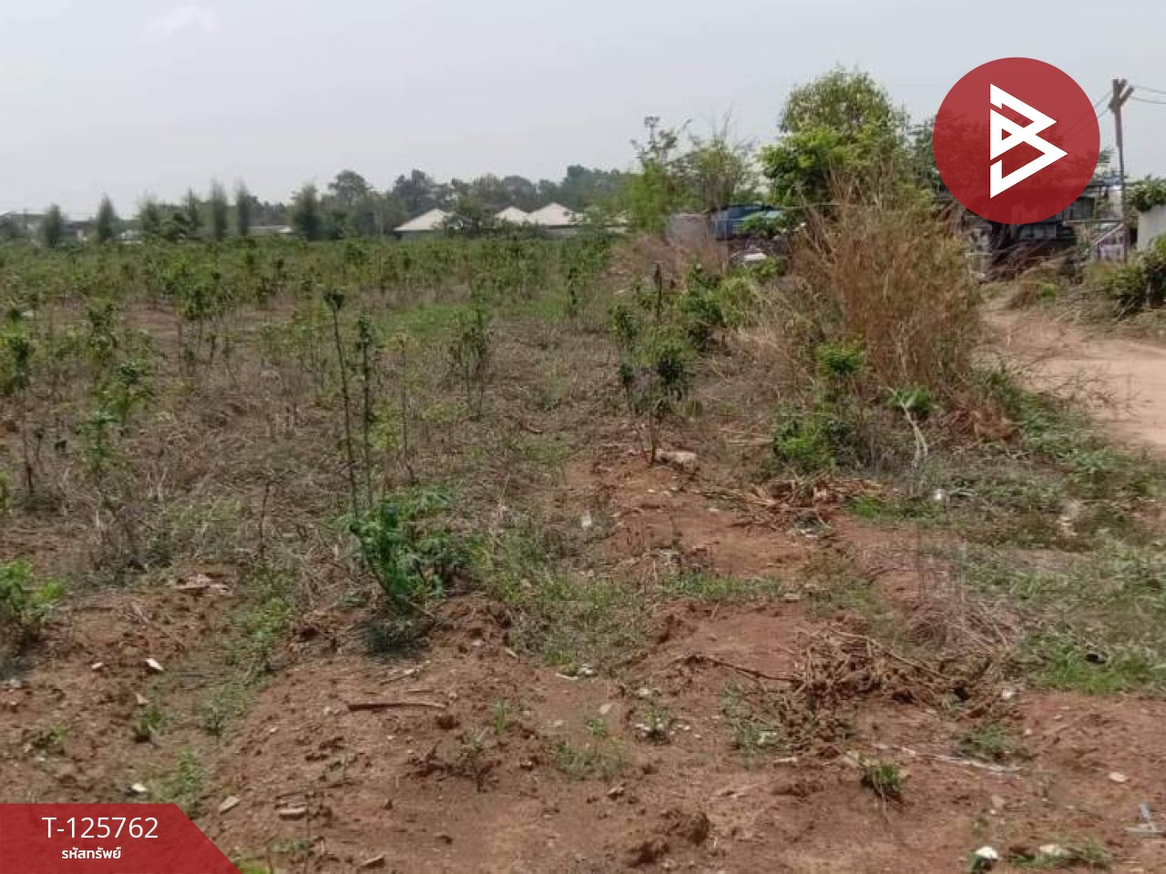 ขายที่ดิน เนื้อที่ 4 ไร่ 46 ตร.วา ศรีมหาโพธิ ปราจีนบุรี 4