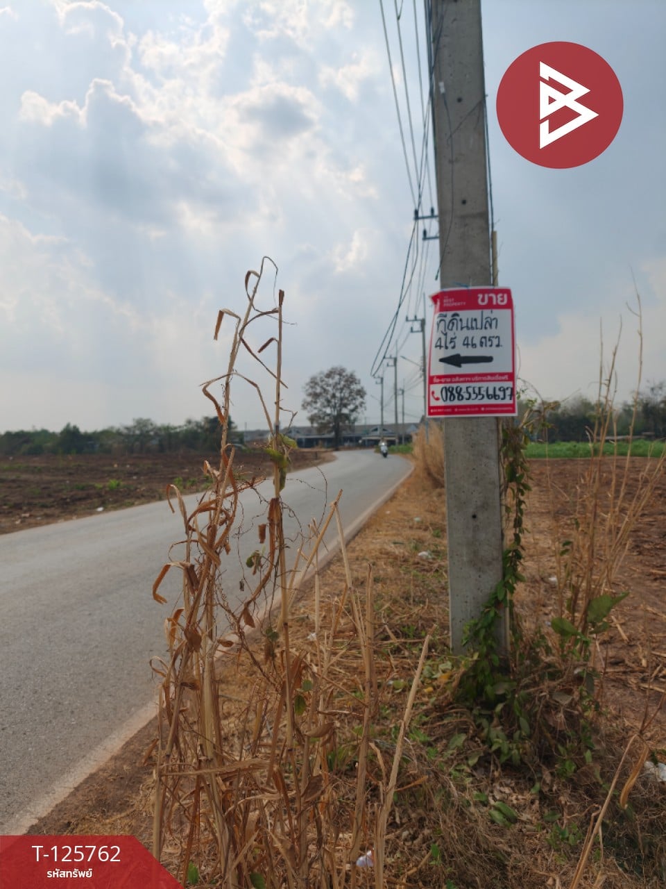 ขายที่ดิน เนื้อที่ 4 ไร่ 46 ตร.วา ศรีมหาโพธิ ปราจีนบุรี 9