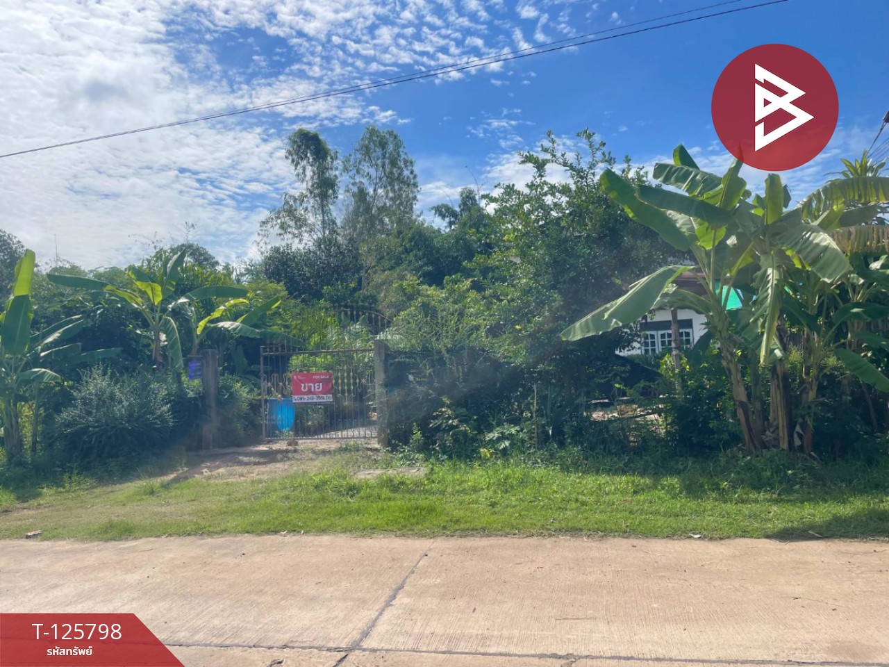 ขายบ้านเดี่ยวพร้อมที่ดิน เนื้อที่ 167 ตารางวา ประโคนชัย บุรีรัมย์ 11