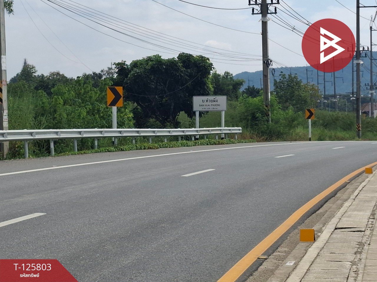 ขายที่ดิน เนื้อที่ 8 ไร่ 96.2 ตร.วา เทิง เชียงราย 6