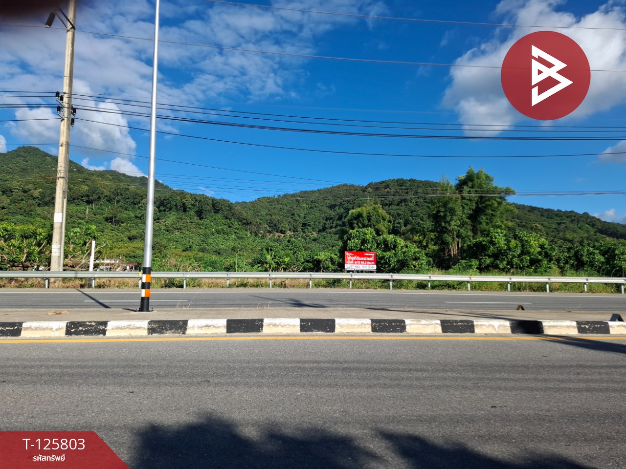 ขายที่ดิน เนื้อที่ 8 ไร่ 96.2 ตร.วา เทิง เชียงราย 13