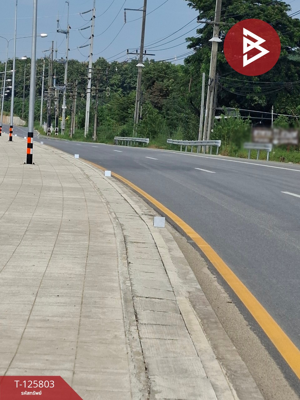 ขายที่ดิน เนื้อที่ 8 ไร่ 96.2 ตร.วา เทิง เชียงราย 7